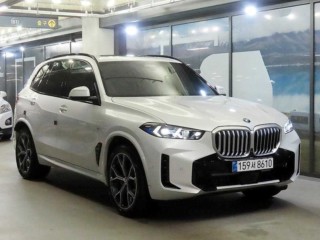 BMW X5 X5 (G05) xDrive 40d M 스포츠