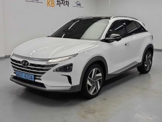 현대 넥쏘 프리미엄