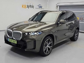 BMW X5 X5 (G05) xDrive 40i M 스포츠