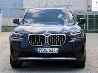 BMW X4 X4 (G02) xDrive 20i xLine