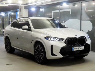 BMW X6 X6 (G06) xDrive 40i M 스포츠