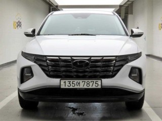 현대 투싼 투싼 (NX4) 디젤 2.0 2WD 모던