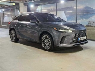렉서스 RX RX 350h(5세대) 럭셔리