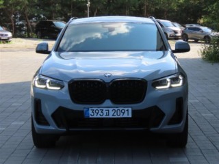 BMW X4 X4 (G02) xDrive 20i M 스포츠 프로