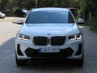 BMW X4 X4 (G02) xDrive 20i M 스포츠