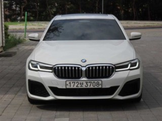 BMW 5시리즈 5시리즈 (G30) 520i M 스포츠