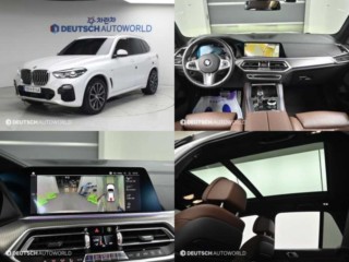 BMW X5 X5 (G05) xDrive 30d M 스포츠