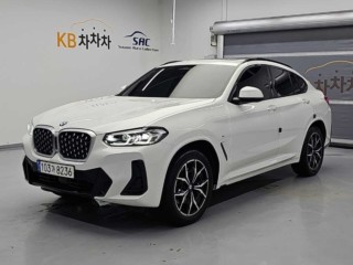 BMW X4 X4 (G02) xDrive 20i M 스포츠