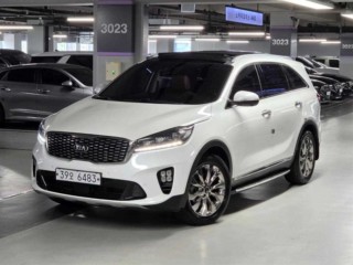 기아 쏘렌토 더 뉴 쏘렌토 디젤 2.2 2WD 노블레스 스페셜
