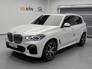 BMW X5 X5 (G05) xDrive 45e M 스포츠