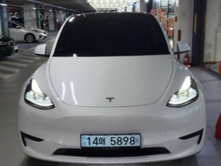 테슬라 모델 Y RWD