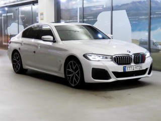 BMW 5시리즈 5시리즈 (G30) 530i xDrive M 스포츠