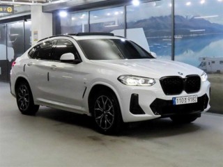 BMW X4 X4 (G02) xDrive 20i M 스포츠