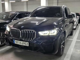BMW X5 X5 (G05) xDrive 45e M 스포츠