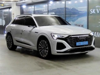 아우디 Q8 Q8 e-트론 55 콰트로 프리미엄