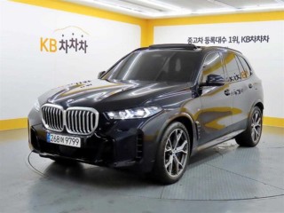BMW X5 X5 (G05) xDrive 30d M 스포츠