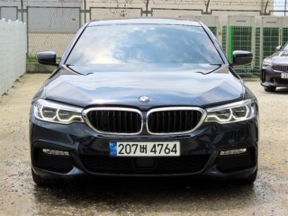 BMW 5시리즈 5시리즈 (G30) 530d M 스포츠
