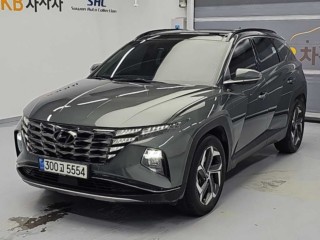 현대 투싼 투싼 (NX4) 디젤 2.0 4WD 인스퍼레이션