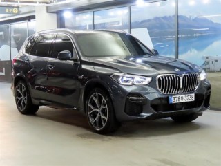 BMW X5 X5 (G05) xDrive 45e M 스포츠