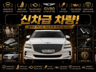 제네시스 GV80 디젤 3.0 2WD
