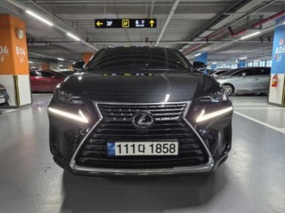렉서스 NX NX 300h 이그제큐티브