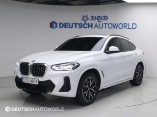 BMW X4 X4 (G02) xDrive 20i M 스포츠