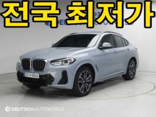 BMW X4 X4 (G02) xDrive 20i M 스포츠