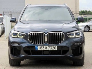 BMW X5 X5 (G05) xDrive 45e M 스포츠