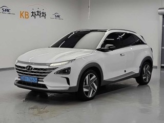 현대 넥쏘 프리미엄