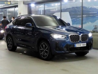 BMW X4 X4 (G02) xDrive 20i M 스포츠 프로