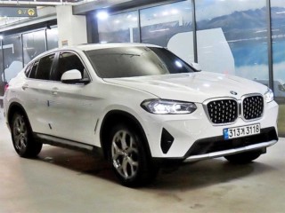 BMW X4 X4 (G02) xDrive 20i xLine