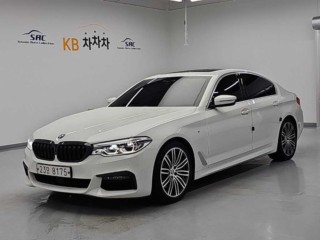 BMW 5시리즈 5시리즈 (G30) 530i M 스포츠 플러스