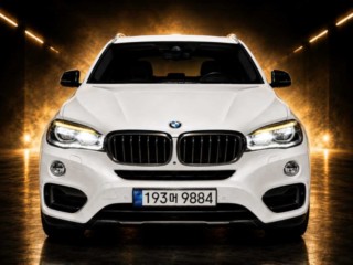 BMW X6 X6 (F16) xDrive 40d