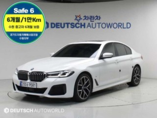 BMW 5시리즈 5시리즈 (G30) 530i M 스포츠