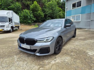 BMW 5시리즈 5시리즈 (G30) 530i M 스포츠