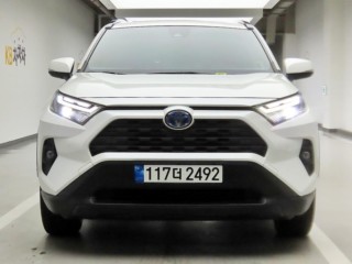 토요타 라브4 RAV4(5세대) 2.5 2WD 하이브리드