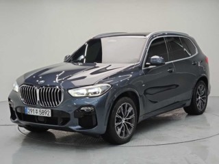 BMW X5 X5 (G05) xDrive 30d M 스포츠