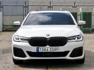 BMW 5시리즈 5시리즈 (G30) 530i M 스포츠