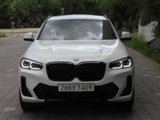 BMW X4 X4 (G02) xDrive 20i M 스포츠 프로
