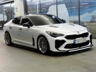 기아 스팅어 가솔린 2.0 터보 2WD 플래티넘