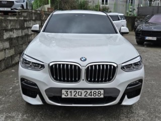 BMW X4 X4 (G02) xDrive 20i M 스포츠 X