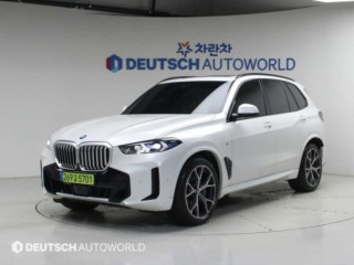 BMW X5 X5 (G05) xDrive 30d M 스포츠