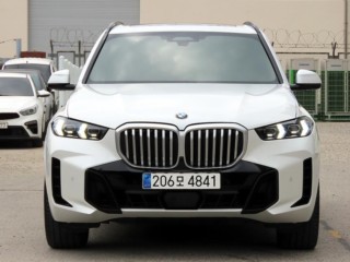 BMW X5 X5 (G05) xDrive 30d M 스포츠