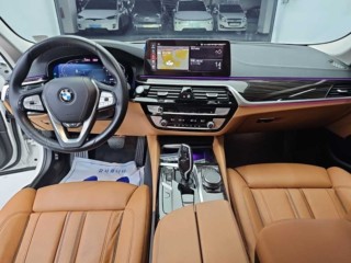 BMW 5시리즈 5시리즈 (G30) 520i 럭셔리