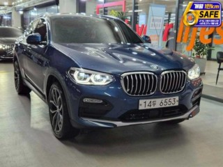 BMW X4 X4 (G02) xDrive 30d M 스포츠 X