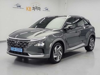 현대 넥쏘 프리미엄