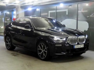 BMW X6 X6 (G06) xDrive 30d M 스포츠
