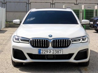 BMW 5시리즈 5시리즈 (G30) 530e M 스포츠