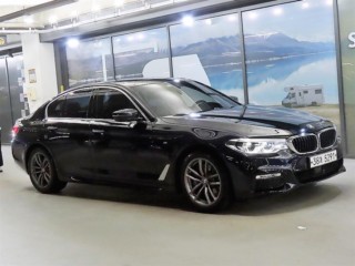 BMW 5시리즈 5시리즈 (G30) 530i M 스포츠