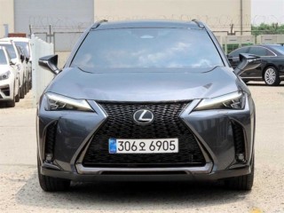렉서스 UX UX 300h 2.0 F 스포츠